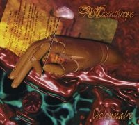 Misanthrope - Visionnaire - 25Th Anniversary Edit in der Gruppe CD / Hårdrock bei Bengans Skivbutik AB (5512208)