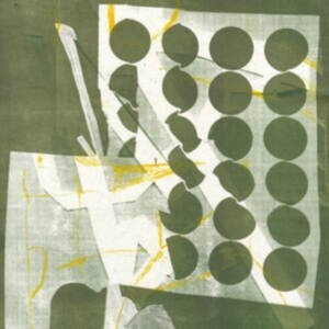 Raymond Zander - To Have Several Lives (Green Vinyl) in der Gruppe UNSERE TIPPS / Freitagsveröffentlichungen / Fredag den 26:e Jan 24 bei Bengans Skivbutik AB (5512527)