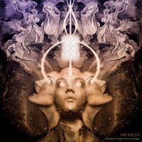 Mr. Bison - Echoes From The Universe in der Gruppe CD bei Bengans Skivbutik AB (5512793)