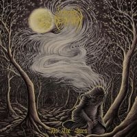 Woods Of Desolation - As The Stars (Vinyl Lp) in der Gruppe VINYL / Hårdrock bei Bengans Skivbutik AB (5512897)