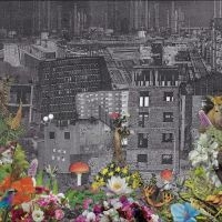 Bloody Head - Perpetual Eden in der Gruppe VINYL / Pop-Rock bei Bengans Skivbutik AB (5513107)