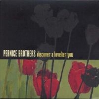 Pernice Brothers - Discover A Lovelier You in der Gruppe CD / Pop-Rock bei Bengans Skivbutik AB (5513332)