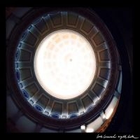 Loch Lomond - Night Bats in der Gruppe CD / Pop-Rock bei Bengans Skivbutik AB (5513405)