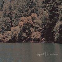 Joyride! - Bodies Of Water in der Gruppe VINYL / Pop-Rock bei Bengans Skivbutik AB (5513608)