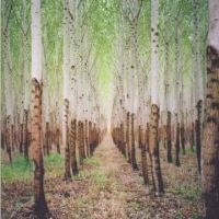 Talkdemonic - Beat Romantic in der Gruppe CD bei Bengans Skivbutik AB (5513617)