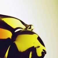 Hooray For Earth - True Loves in der Gruppe CD bei Bengans Skivbutik AB (5513704)