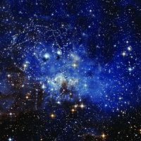 Supreme Cuts - Whispers In The Dark in der Gruppe VINYL / Pop-Rock bei Bengans Skivbutik AB (5513706)