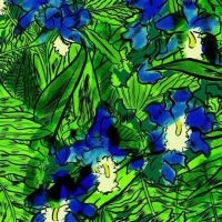 Higgins Waterproof Black Magic Band - Higgins Waterproof Black Magic Band in der Gruppe VINYL / Pop-Rock bei Bengans Skivbutik AB (5513865)