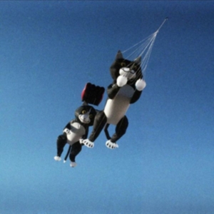 Pope - True Talent Champion in der Gruppe VINYL / Pop-Rock bei Bengans Skivbutik AB (5513868)