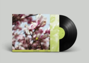 Clerkin Tara Trio - In Spring in der Gruppe UNSERE TIPPS / Freitagsveröffentlichungen / Fredag den 19e Jan 24 bei Bengans Skivbutik AB (5513951)