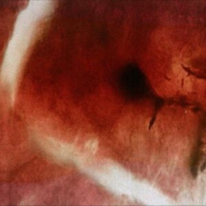 Angles & Elle-Kari With Strings - The Death Of Kalypso in der Gruppe Kommande produkter - 10 procent bei Bengans Skivbutik AB (5514471)