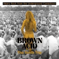 Various Artists - Brown Acid - The Tenth Trip in der Gruppe VINYL / Pop-Rock bei Bengans Skivbutik AB (5514698)