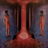 Rhys Bloodjoy - The Chaos In Veins in der Gruppe UNSERE TIPPS / Freitagsveröffentlichungen / Fredag den 26:e Jan 24 bei Bengans Skivbutik AB (5515174)