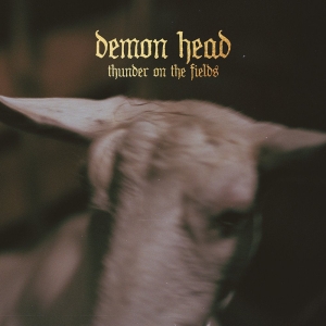 Demon Head - Thunder On The Fields Lp Silver in der Gruppe VINYL / Pop-Rock bei Bengans Skivbutik AB (5515230)