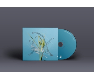 Fergus Mccreadie - Stream in der Gruppe CD bei Bengans Skivbutik AB (5515617)