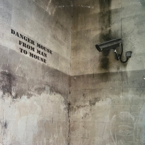 Danger Mouse - From Man To Mouse (Bansky Sleeve) in der Gruppe Labels /  bei Bengans Skivbutik AB (5515682)