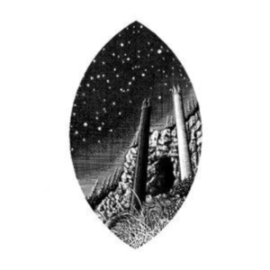 Iterum Nata - The Course Of Empire in der Gruppe CD / Svensk Folkmusik bei Bengans Skivbutik AB (5516188)