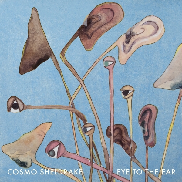 Cosmo Sheldrake - Eye To The Ear in der Gruppe VINYL / Bestseller bei Bengans Skivbutik AB (5516449)