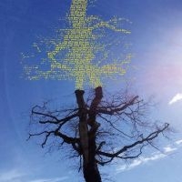 Laetitia Sadier - Rooting For Love in der Gruppe VINYL bei Bengans Skivbutik AB (5516775)
