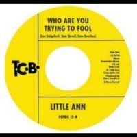 Little Ann - Who Are You Trying To Fool / The Sm in der Gruppe UNSERE TIPPS / Freitagsveröffentlichungen / Fredag Den 23:e Februari 2024 bei Bengans Skivbutik AB (5516904)