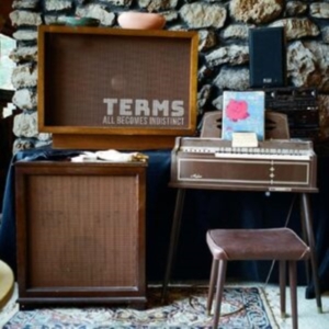 Terms - All Becomes  Indistinct in der Gruppe Övrigt /  bei Bengans Skivbutik AB (5516993)