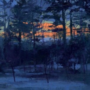 Animal Hospital - Shelf Life in der Gruppe Övrigt /  bei Bengans Skivbutik AB (5516997)