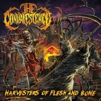 The Convalescence - Harvesters Of Flesh And Bone in der Gruppe UNSERE TIPPS / Freitagsveröffentlichungen / Fredag Den 1:a Mars 2024 bei Bengans Skivbutik AB (5517441)