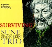 Brus Trio Feat Nordström & Äleklint - Celebration in der Gruppe CD / Jazz bei Bengans Skivbutik AB (5517481)