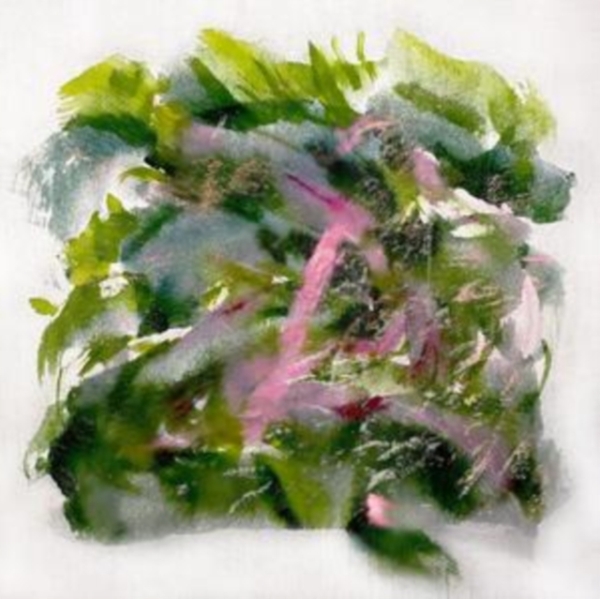 Mizu - Forest Scenes (Color-In-Color Light in der Gruppe VINYL / Bestseller bei Bengans Skivbutik AB (5517713)