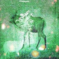 Ghost Lemurs - Wombs And Alien Spirits in der Gruppe UNSERE TIPPS / Freitagsveröffentlichungen / Fredag Den 1:a Mars 2024 bei Bengans Skivbutik AB (5517799)