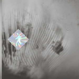 Discovery Zone - Quantum Web in der Gruppe VINYL bei Bengans Skivbutik AB (5517889)