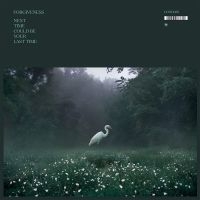 Forgiveness - Next Time Could Be Your Last Time ( in der Gruppe VINYL / Pop-Rock bei Bengans Skivbutik AB (5518244)