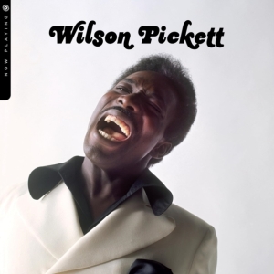 Wilson Pickett - Now Playing in der Gruppe VINYL / RnB-Soul bei Bengans Skivbutik AB (5518546)