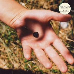 Calicos - The Soft Landing in der Gruppe CD / Pop-Rock bei Bengans Skivbutik AB (5518705)