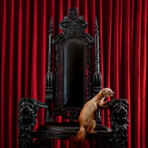 Brume - Marten (Red Vinyl Lp) in der Gruppe Kommande produkter - 10 procent bei Bengans Skivbutik AB (5519026)