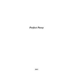 Perfect Pussy - I Have Lost All Desire For Feeling in der Gruppe Labels /  bei Bengans Skivbutik AB (5519104)