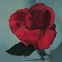 Metz - Up On Gravity Hill (Loser Edition Yellow Vinyl) in der Gruppe UNSERE TIPPS / Jahresbestenlisten 2024 / Jahresbeste Alex bei Bengans Skivbutik AB (5519558)