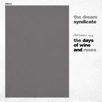 Dream Syndicate The - Sketches For The Days Of Wine And R in der Gruppe UNSERE TIPPS / Record Store Day / RSD24 bei Bengans Skivbutik AB (5519659)