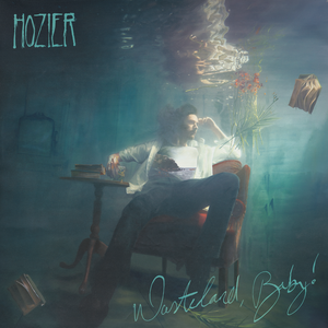 Hozier - Wasteland, Baby (Rsd Colored Vinyl) in der Gruppe UNSERE TIPPS / Record Store Day / RSD24 bei Bengans Skivbutik AB (5519870)