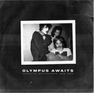 Malfunkshun - Olympus Awaits (Neon Purple Vinyl/2Lp) (Rsd) - IMPORT in der Gruppe Korr_grupp /  bei Bengans Skivbutik AB (5520073)