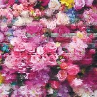 Bersarin Quartett - Systeme in der Gruppe CD bei Bengans Skivbutik AB (5520616)