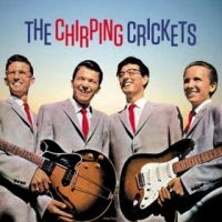 Crickets - The Chirping Crickets in der Gruppe VINYL / Pop-Rock bei Bengans Skivbutik AB (5520657)