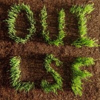 Les Savy Fav - Oui, Lsf in der Gruppe Kommande produkter - 10 procent bei Bengans Skivbutik AB (5521079)