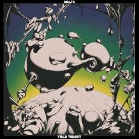 Melts - Field Theory in der Gruppe Kommande produkter - 10 procent bei Bengans Skivbutik AB (5521492)