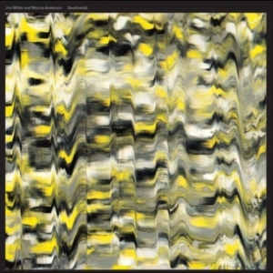 White Jim And Marisa Anderson - Swallowtail (Indie Exclusive, Trans in der Gruppe VINYL / Svensk Folkmusik bei Bengans Skivbutik AB (5521676)