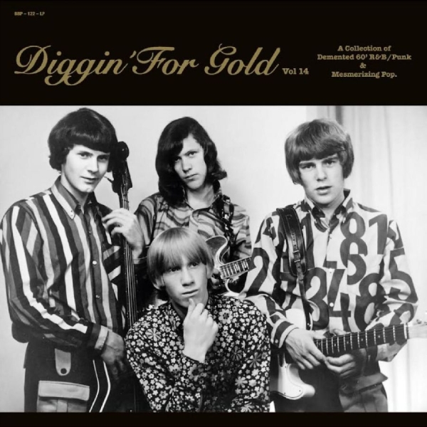 Various Artists - Diggin' For Gold Vol. 14 in der Gruppe VINYL / Bestseller bei Bengans Skivbutik AB (5522114)
