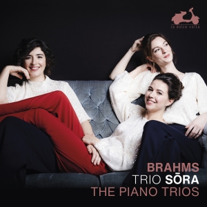 Johannes Brahms - The Piano Trios in der Gruppe CD / Klassiskt bei Bengans Skivbutik AB (5522143)