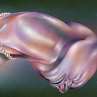 Walt Disco - The Warping in der Gruppe UNSERE TIPPS / Freitagsveröffentlichungen / Fredag den 14:e Juni 2024 bei Bengans Skivbutik AB (5522189)