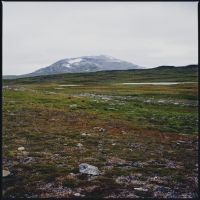 Gidge - Tundra in der Gruppe VINYL / Pop-Rock bei Bengans Skivbutik AB (5522254)