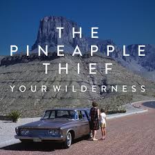 The Pineapple Thief - Split Seams/Vikt Hörn Your Wilderness in der Gruppe Övrigt / Split Seams 2024 bei Bengans Skivbutik AB (5522364)